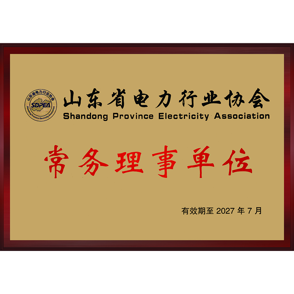 电力协会常务理事单位.jpg