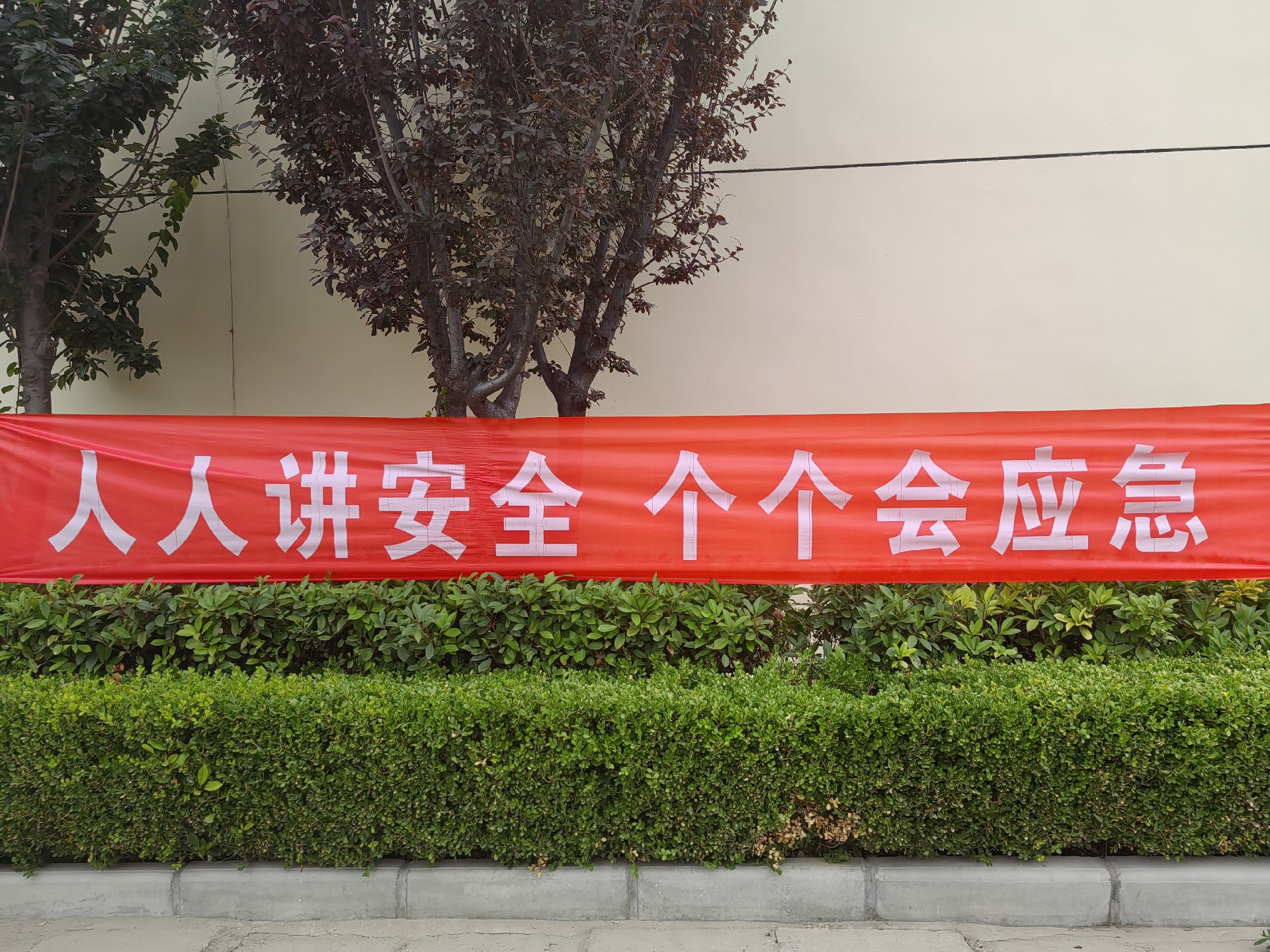 微信图片_20250625110054.jpg